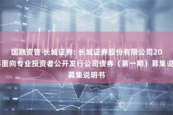 国融资管 长城证券: 长城证券股份有限公司2025年面向专业投资者公开发行公司债券（第一期）募集说明书