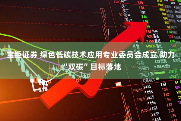 宝钜证券 绿色低碳技术应用专业委员会成立 助力 “双碳”目标落地